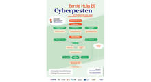 Afbeelding in Gallery-weergave laden, Flowchart 'Eerste hulp bij cyberpesten'